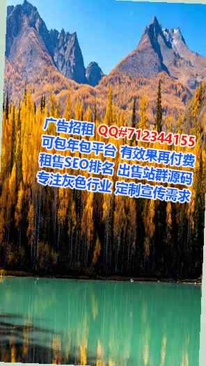柬埔寨代怀集成电路公司